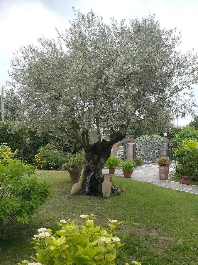 Gasthof Hotel Casa Pianta Cavallino-Treporti