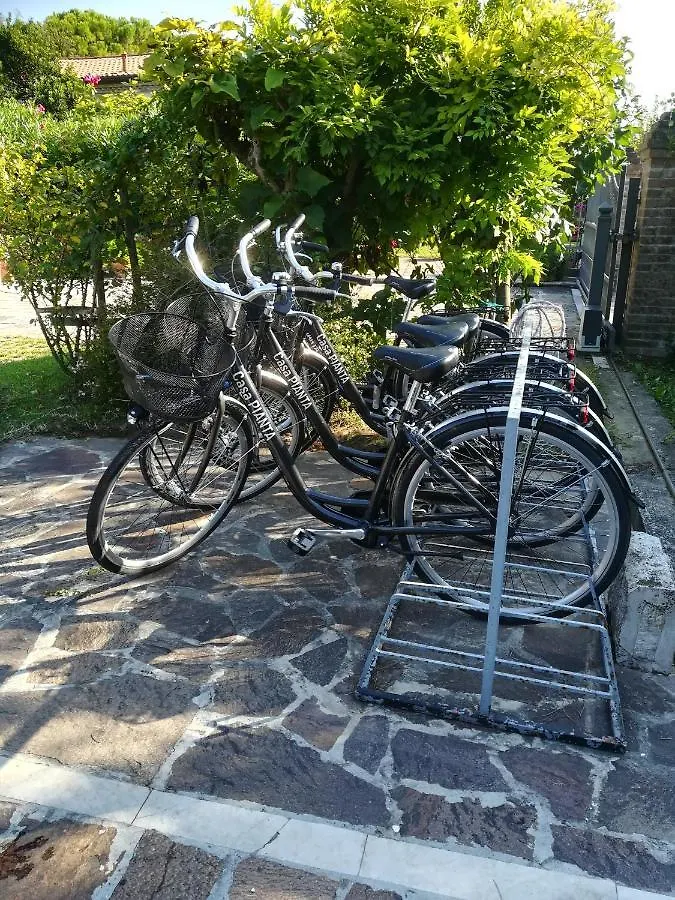 Hotel Casa Pianta Cavallino-Treporti