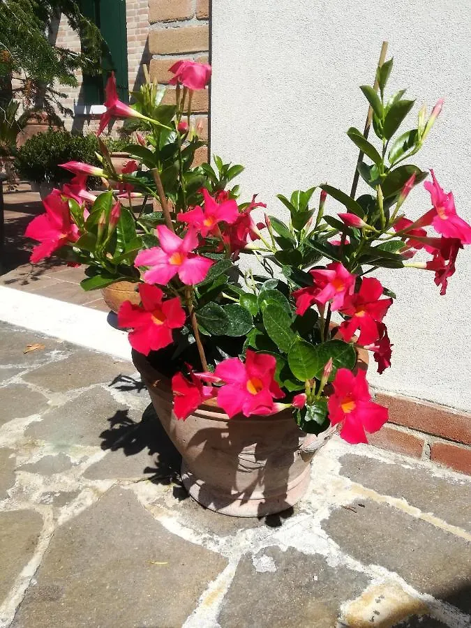 Gasthof Hotel Casa Pianta Cavallino-Treporti